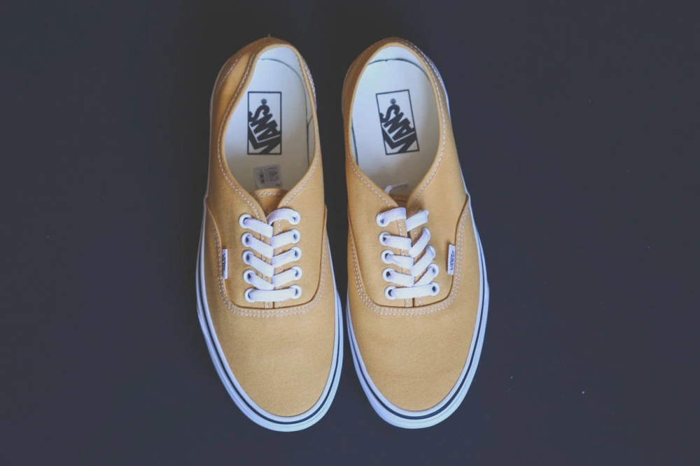 Ilustrasi Vans (Pexels)